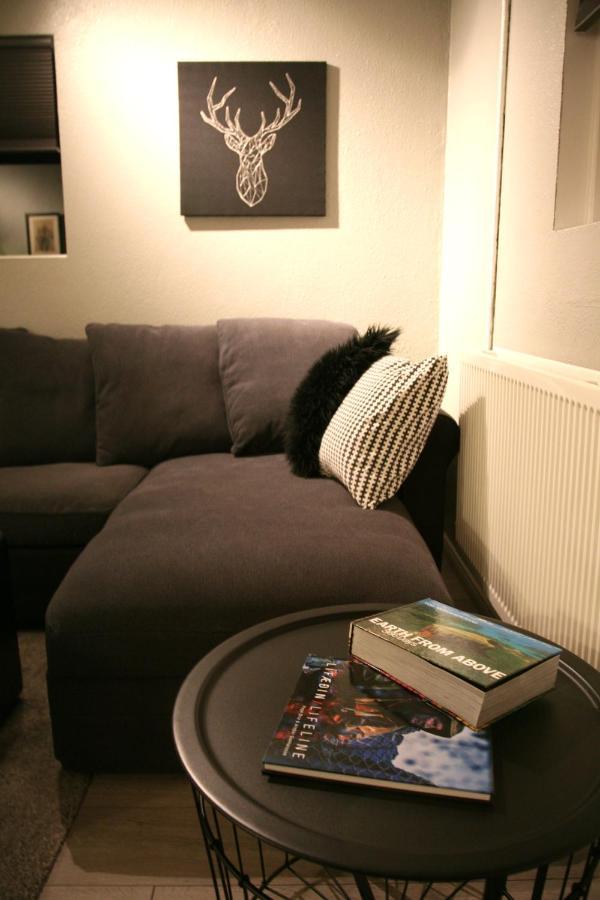 Spacious & Refurbished 1 Bedroom Apartment In Suburban Reykjavik Garthabaer Buitenkant foto